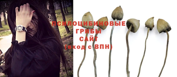 дмт Остров