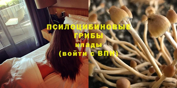 амф Абинск